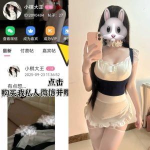【岛遇】小棋大王合集【127P 17V】