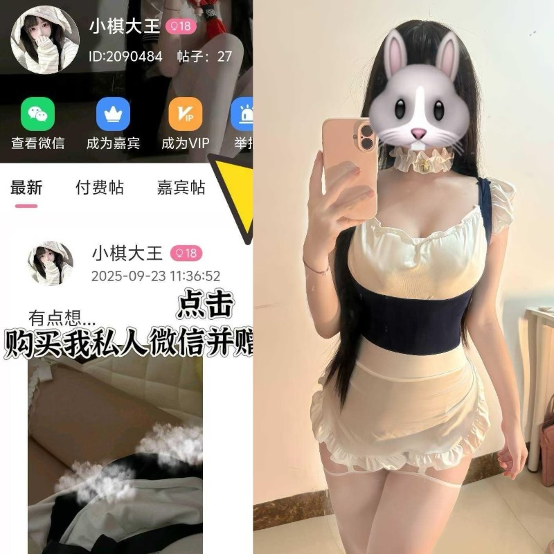 【岛遇】小棋大王合集【127P 17V】