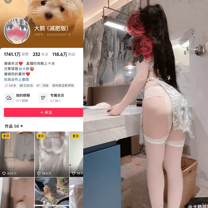 抖音大鹅gaga微密圈合集【382P 68V】