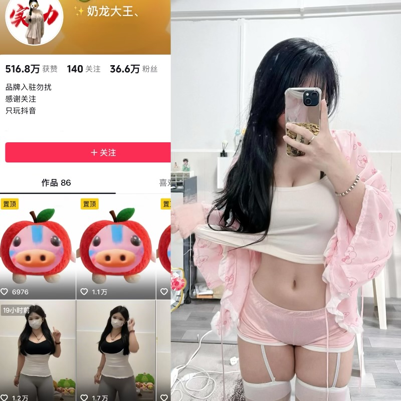 【趣岛】抖音奶龙大王合集【70P 27V 115M】
