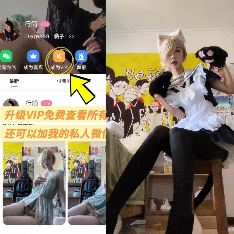 【岛遇】抖音行简合集【313P 115V 511M】