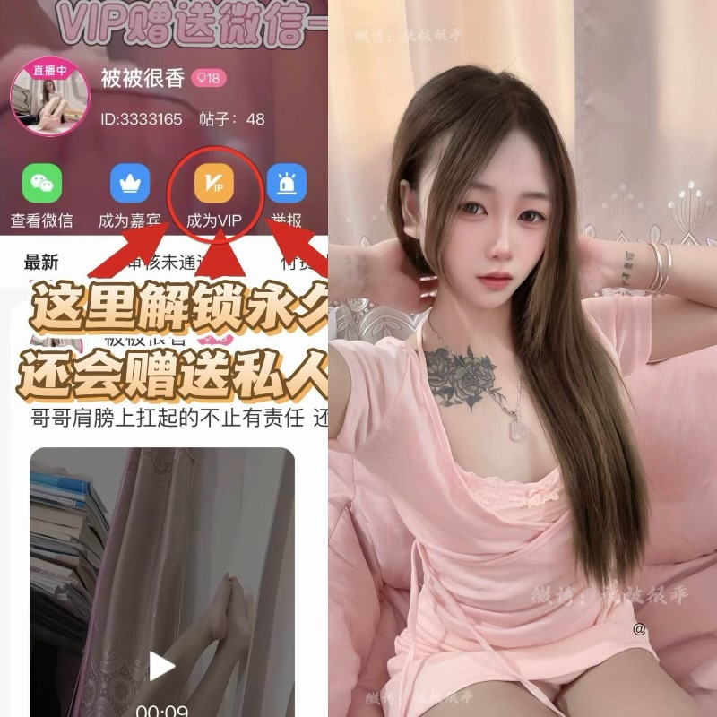 【岛遇】微博被被很香合集【349P 59V 350M】